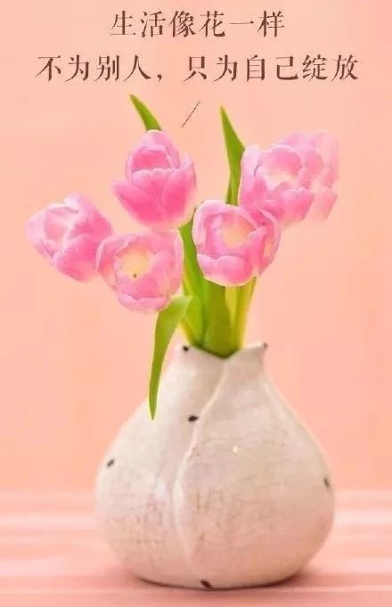 职场早安鸡汤励志短语_早安心灵鸡汤励志职场_职场励志鸡汤语录