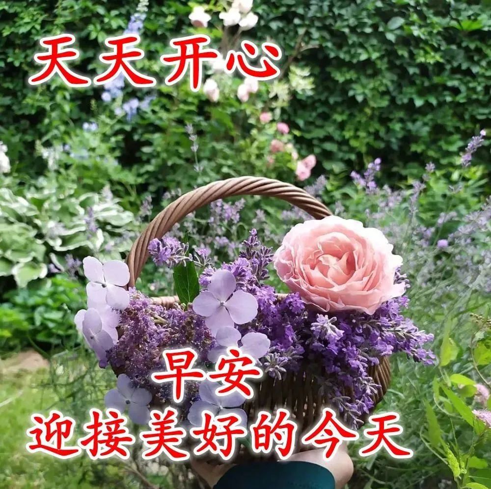 职场励志鸡汤语录_早安心灵鸡汤励志职场_职场早安鸡汤励志短语