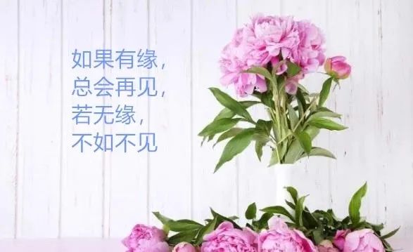 职场早安鸡汤励志短语_早安心灵鸡汤励志职场_职场励志鸡汤语录