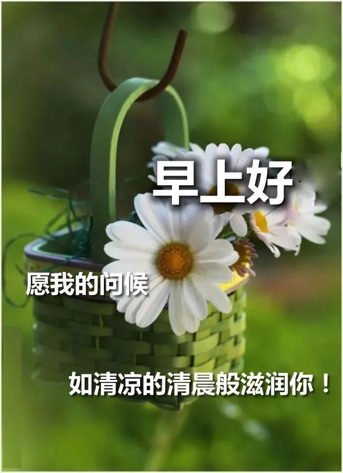 职场励志鸡汤语录_职场早安鸡汤励志短语_早安心灵鸡汤励志职场