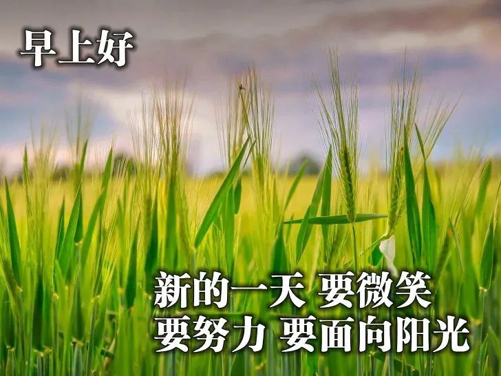 职场正能量早安语录_2021职场鸡汤_早安心灵鸡汤励志职场