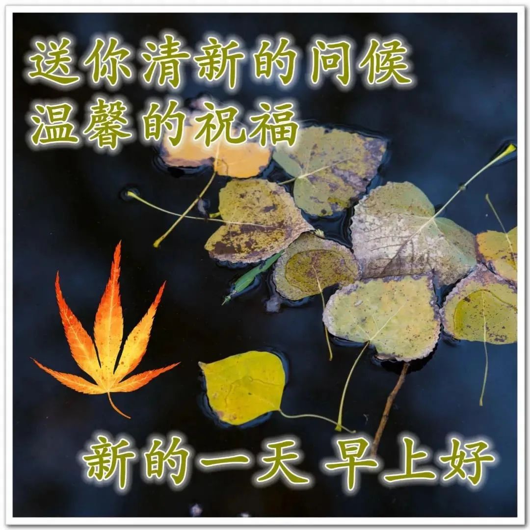 职场正能量早安语录_2021职场鸡汤_早安心灵鸡汤励志职场