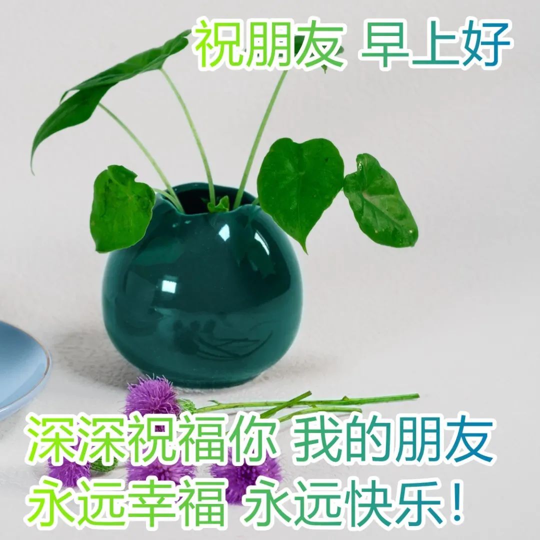 2021职场鸡汤_早安心灵鸡汤励志职场_职场正能量早安语录