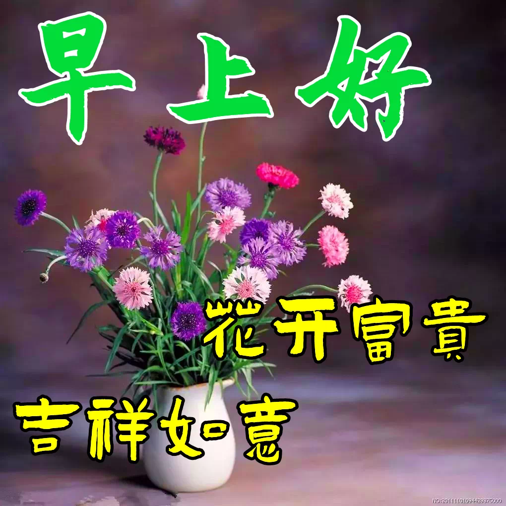 职场正能量早安语录_早安心灵鸡汤励志职场_2021职场鸡汤