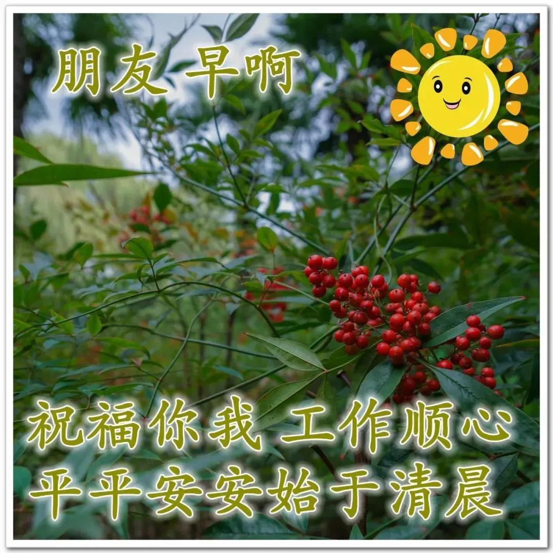 2021职场鸡汤_职场正能量早安语录_早安心灵鸡汤励志职场