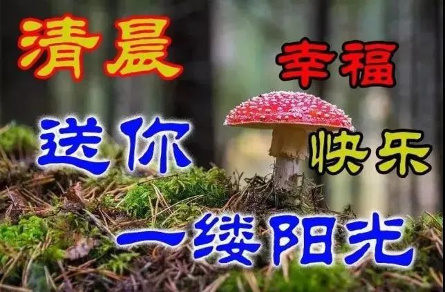 早安心灵鸡汤励志职场_职场早安鸡汤励志短语_职场励志早安心语