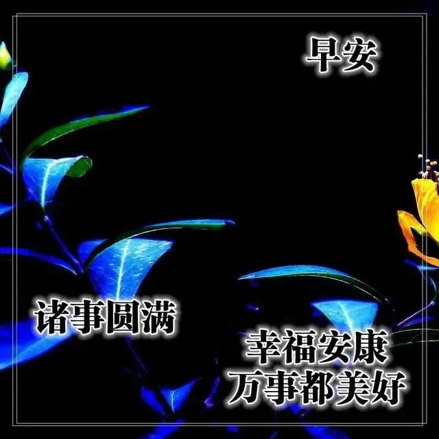 职场励志早安心语_职场早安鸡汤励志短语_早安心灵鸡汤励志职场