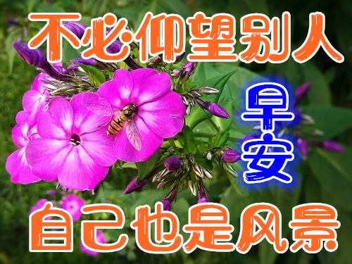 职场早安鸡汤励志短语_早安心灵鸡汤励志职场_职场励志早安心语