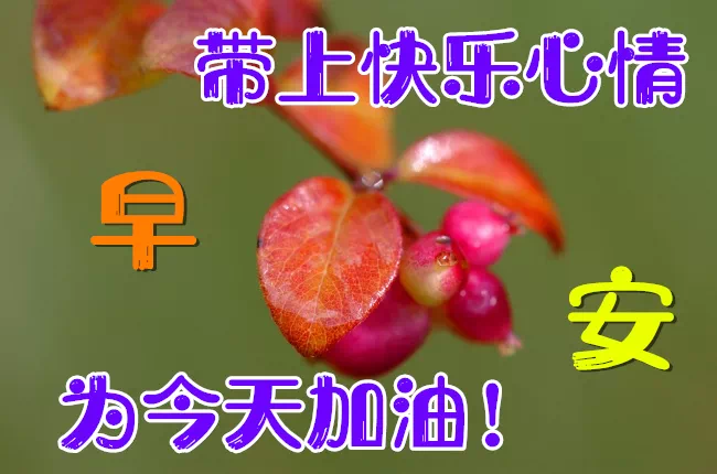 早安心灵鸡汤励志职场_职场早安鸡汤励志短语_职场励志早安心语