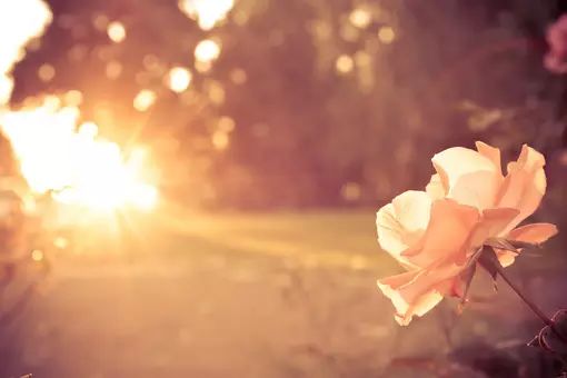 女人这样做,男人永远不会娶你!女人必看!(图2) 女人职场励志语录_女人职场励志说说_职场女性励志说说