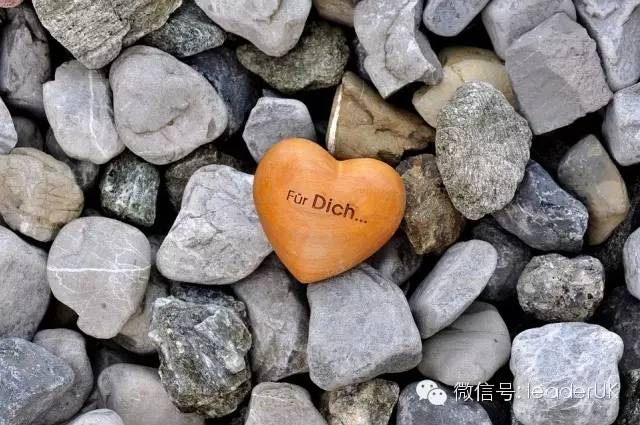 金融 海归求职简历_海归金融硕士求职_海归金融就业情况