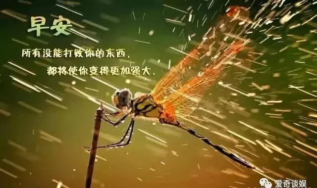 女人职场励志语录_职场女性励志语录_职场女性励志文案