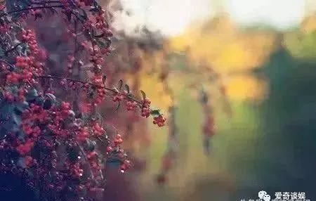 职场女性励志文案_职场女性励志语录_女人职场励志语录