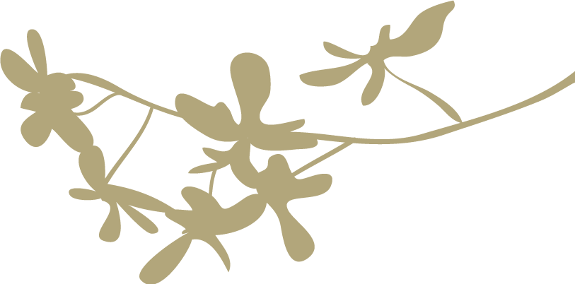 日语专业简历_简历日语专业怎么写_简历日语专业自我介绍