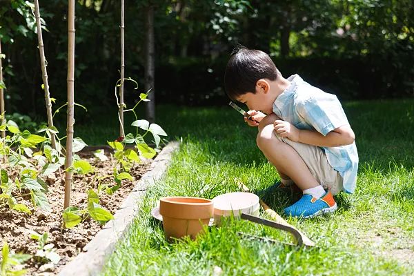 职场小白升级_职场小白进阶之路_彼岸职场小白升职记
