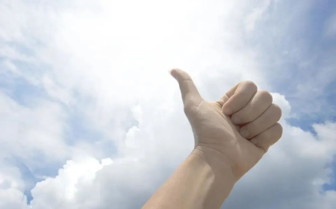 职场意思规划是指什么_职场规划是什么意思_职场规划怎么说