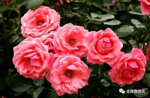 凤台南路_凤台南路属于哪个区_凤台南路属于哪个街道