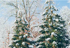 职业装OL职业套装搭配半透的肉色丝袜视觉上(图12) 职场时尚ol服装搭配_职场时尚ol服装搭配_职场时尚ol服装搭配