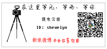 职业装OL职业套装搭配半透的肉色丝袜视觉上(图14) 职场时尚ol服装搭配_职场时尚ol服装搭配_职场时尚ol服装搭配