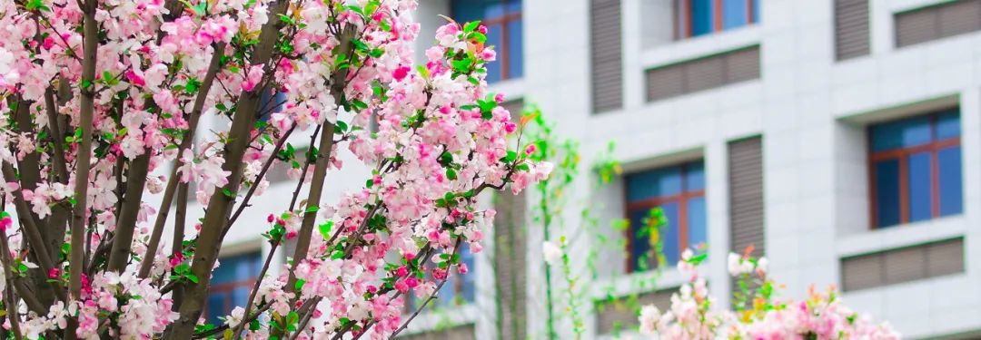 四川工业科技学院人才招聘_四川工业学院官网招聘_四川工业科技学院招聘