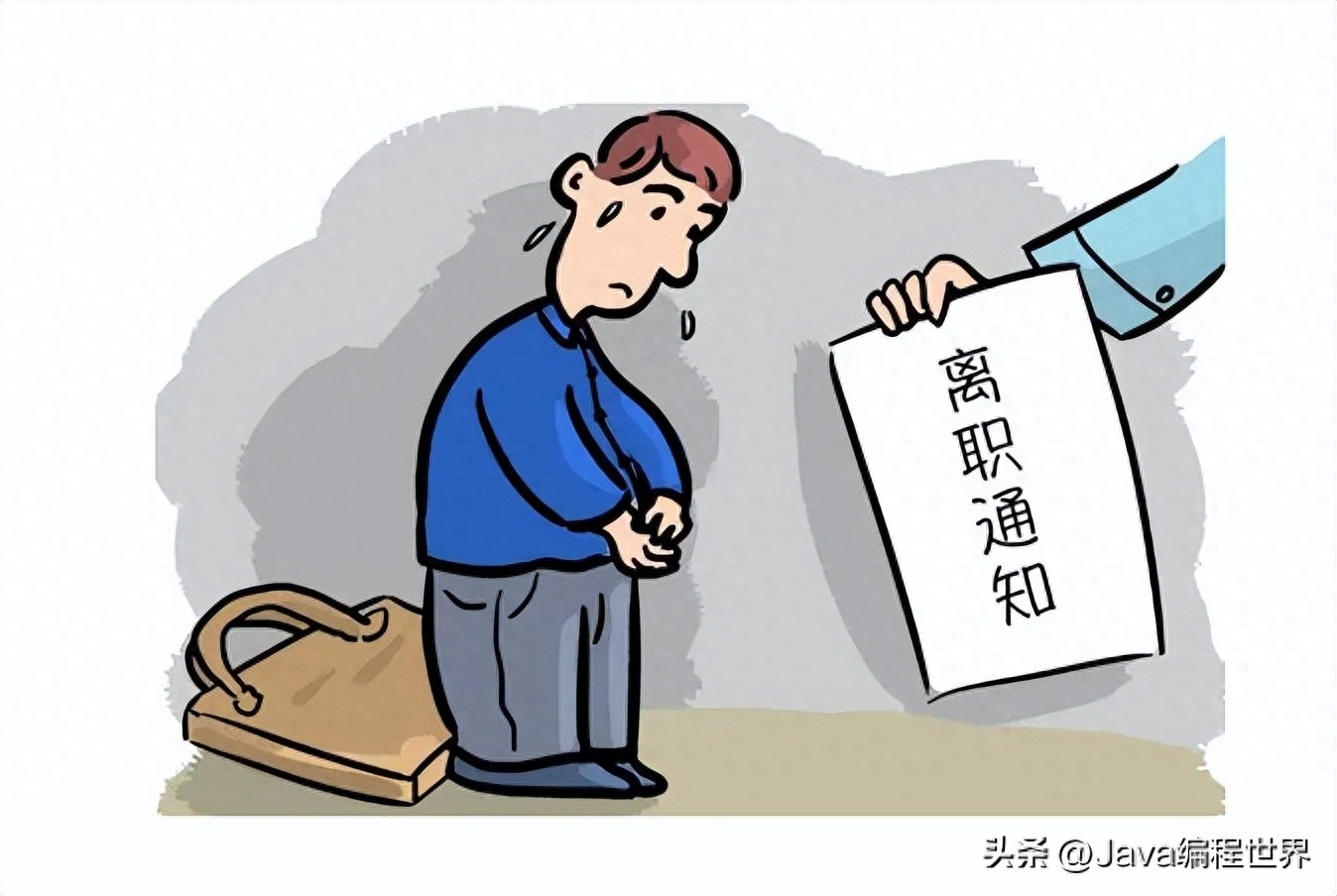 程序编程员_程序员职场_职场职员