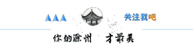 安徽省凤台政府网_凤台县政务网_凤台县政府办