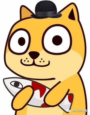 程序编程员好学吗_在哪找程序编写员_程序员职场