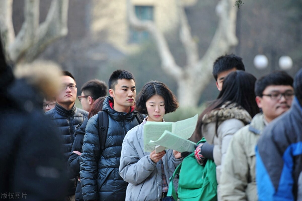 程序员职场_职场人员是什么意思_职场职员