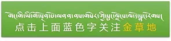 恩波格斗简介_恩波格斗选手名单_恩波格斗恩波简历