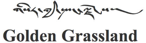 恩波格斗选手名单_恩波格斗简介_恩波格斗恩波简历