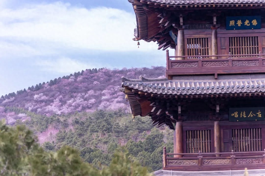 太原招聘英语翻译或英语老师_太原英语招聘_太原招聘英语翻译