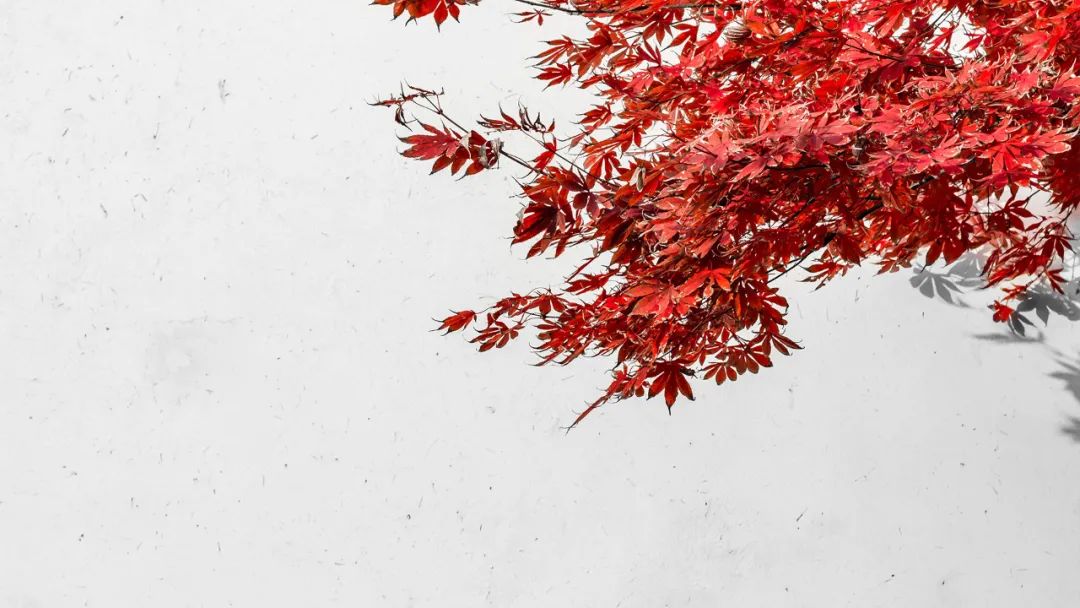 职场孙子兵法_职场孙子兵法_职场孙子兵法