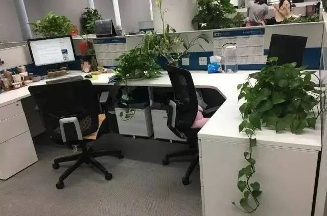 清明节不让员工祭祖,却让加班,被怒怼了!(图12) 职场狠忍滚法则_职场里的法则_职场狼道法则