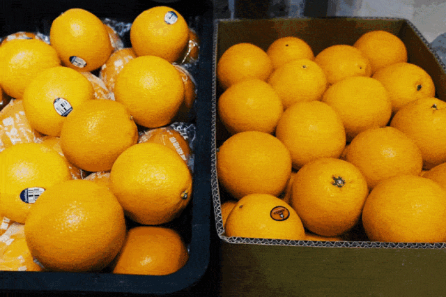 南京咖啡馆招聘_南京咖啡店招聘_南京咖啡店兼职