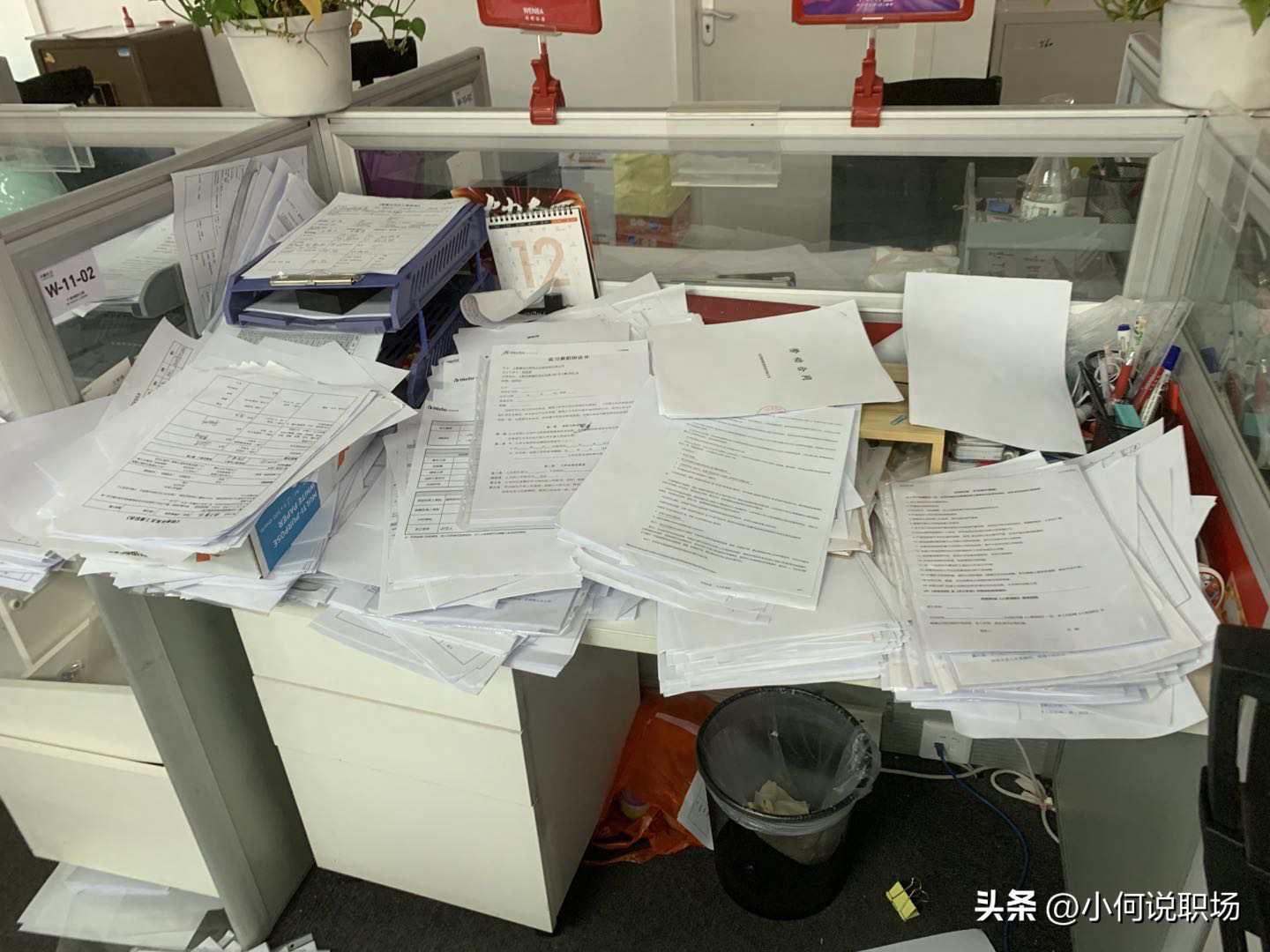 简历里自荐信_简历中的自荐信范文_自荐信和简历