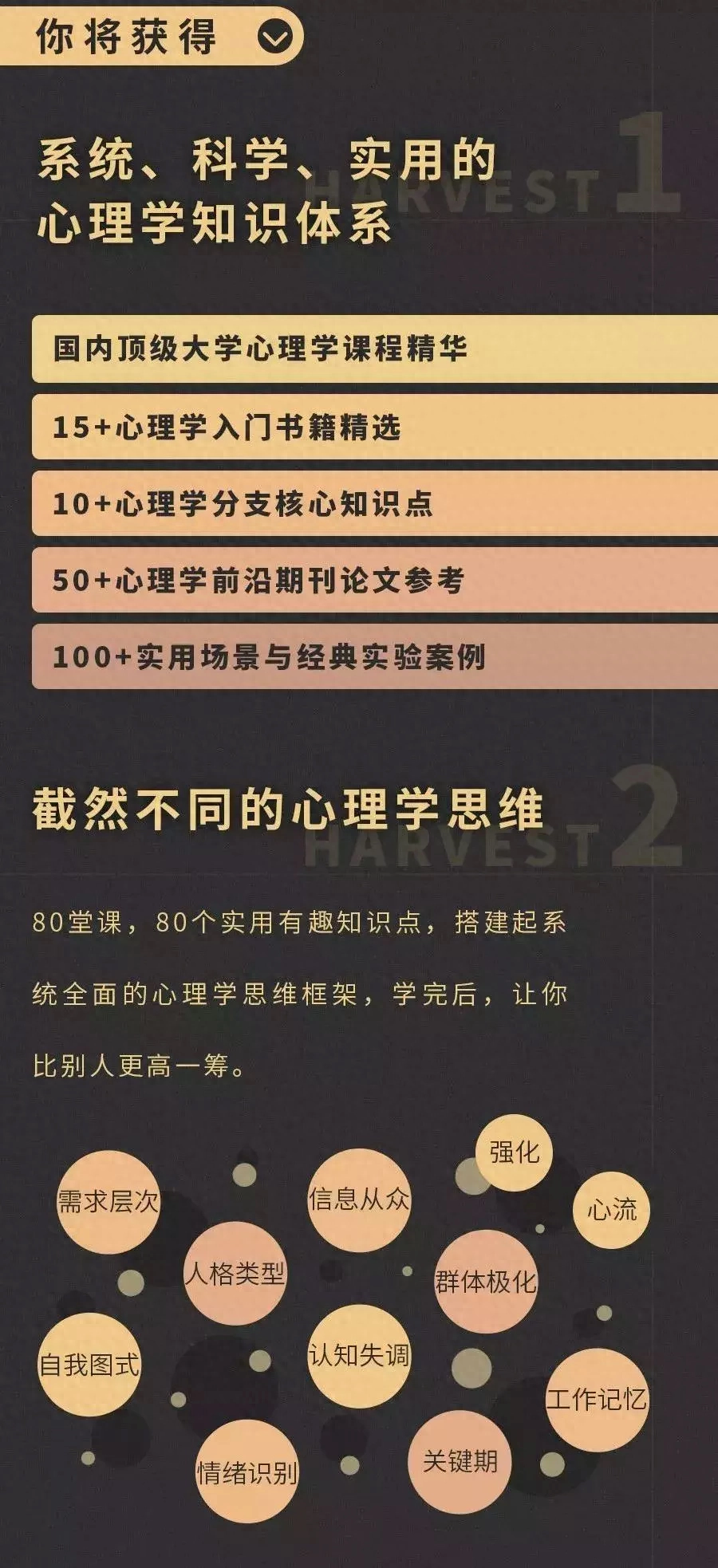 职场心理学进阶版_职场进阶答案_职场心理学百科