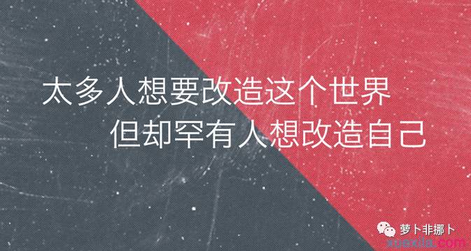 职场励志心灵鸡汤语录_职场励志鸡汤文_职场励志的心灵鸡汤短句