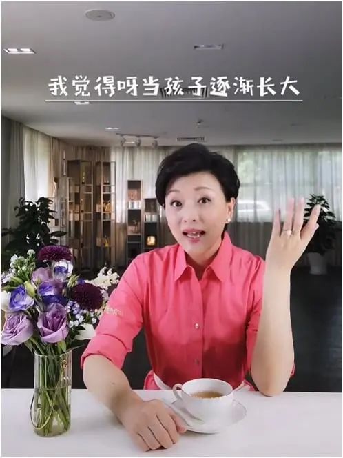 央视主持人杨澜的个人简介_央视主持人杨澜个人简历_央视主持人杨澜简历