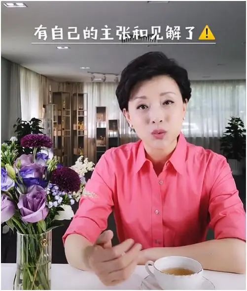 央视主持人杨澜的个人简介_央视主持人杨澜简历_央视主持人杨澜个人简历