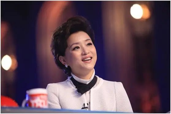 央视主持人杨澜的个人简介_央视主持人杨澜简历_央视主持人杨澜个人简历