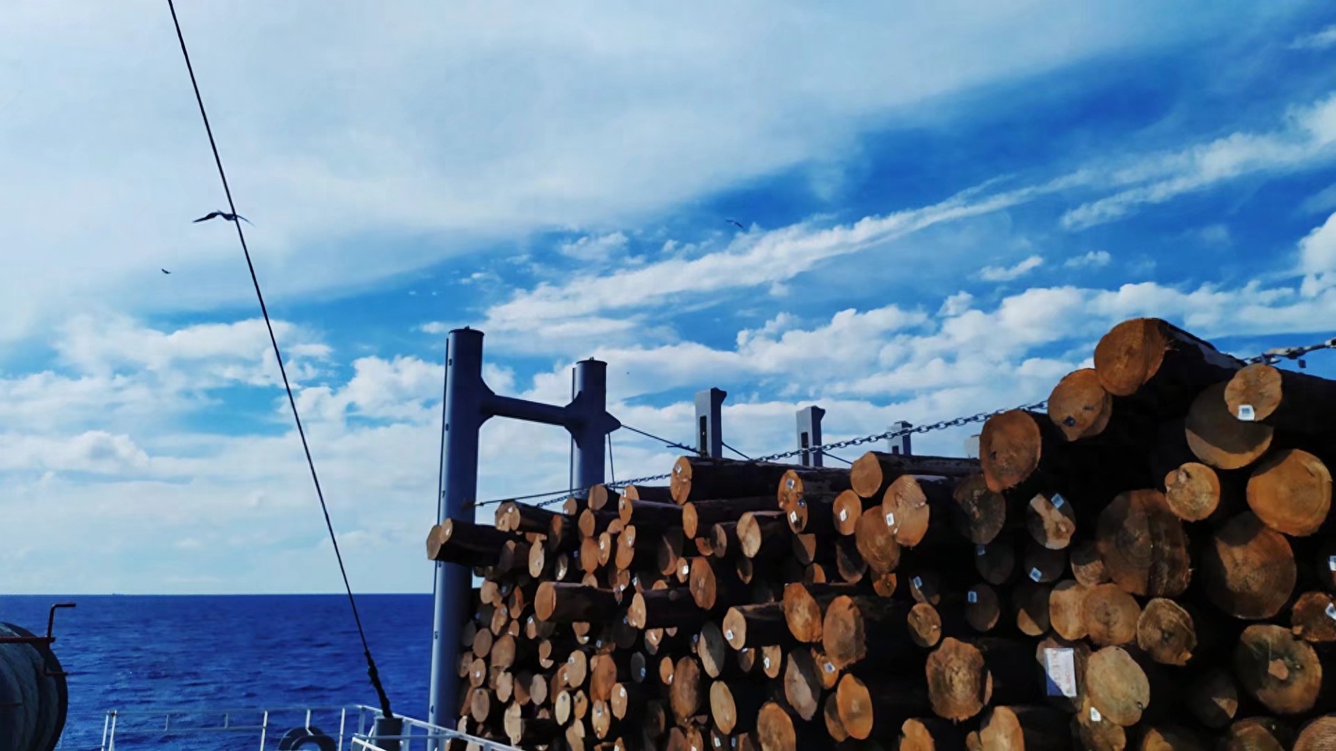 航运在线船员招聘_航运在线船员招聘_航运在线船员招聘