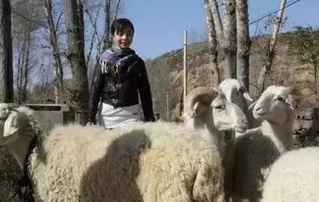 《星光大道》王二妮_王二妮星光大道比赛视频_星光大道王二妮简历