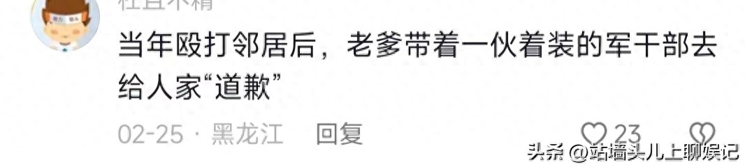 李双江妻子丁英是几婚_李双江前妻丁英简历_丁贺李双江