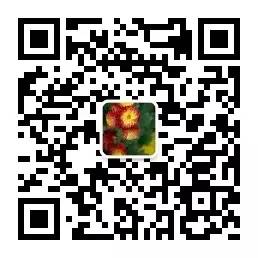 职场服饰搭配_职场服饰搭配图片_职场服饰搭配的技巧