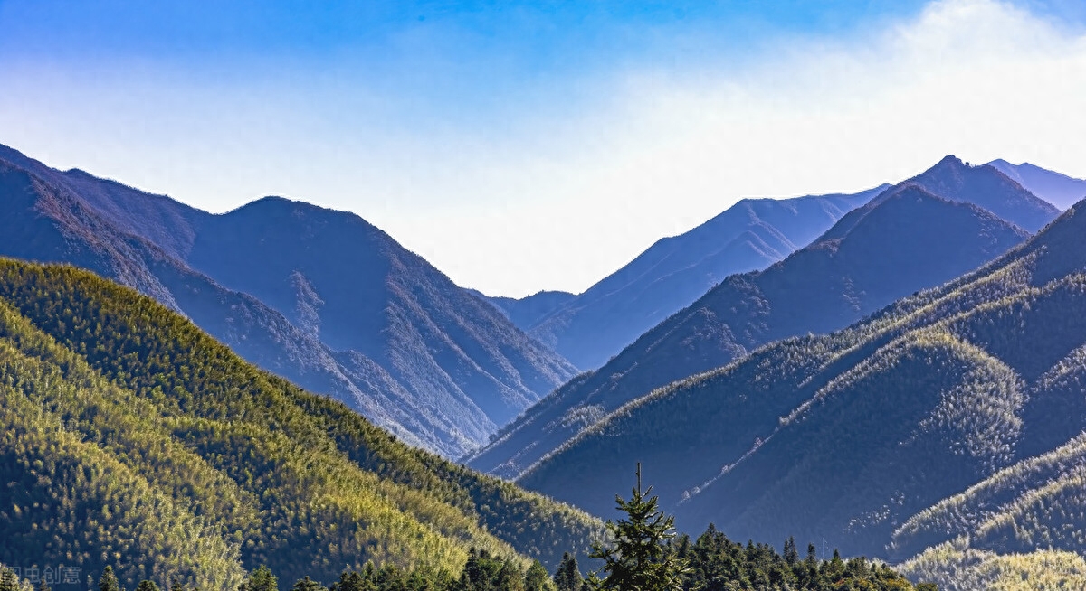 职场演讲稿1000字_职场演讲稿励志_职场演讲稿大全