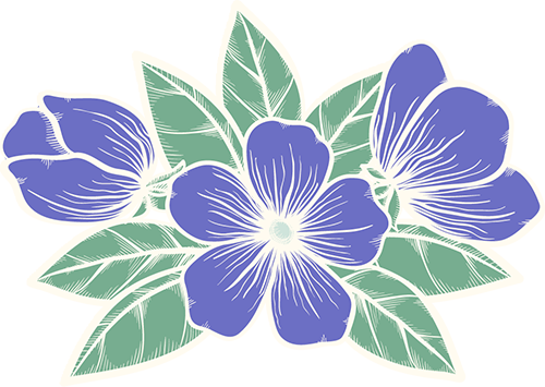 厦门航空招聘信息网_厦门航空招聘网打印简历_厦门航空社会招聘流程