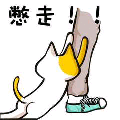 豆瓣职场书籍_职场剧排行榜前十名豆瓣_初入职场 豆瓣