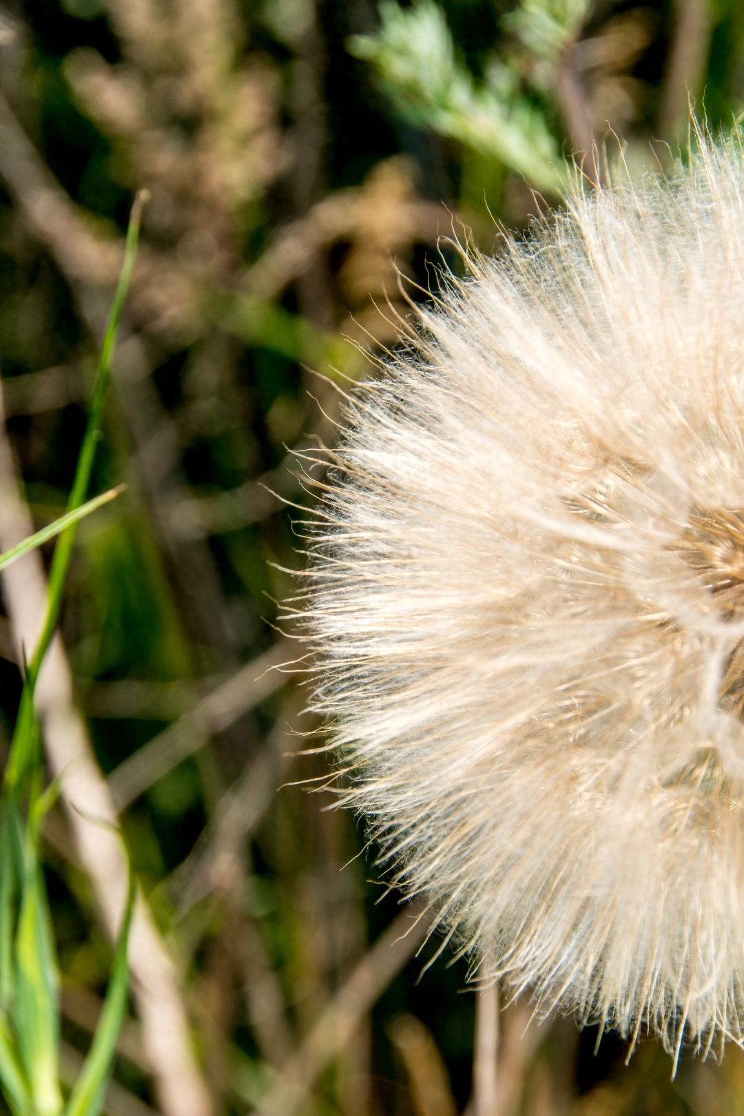 职场官网_职场赢家_我赢职场注册