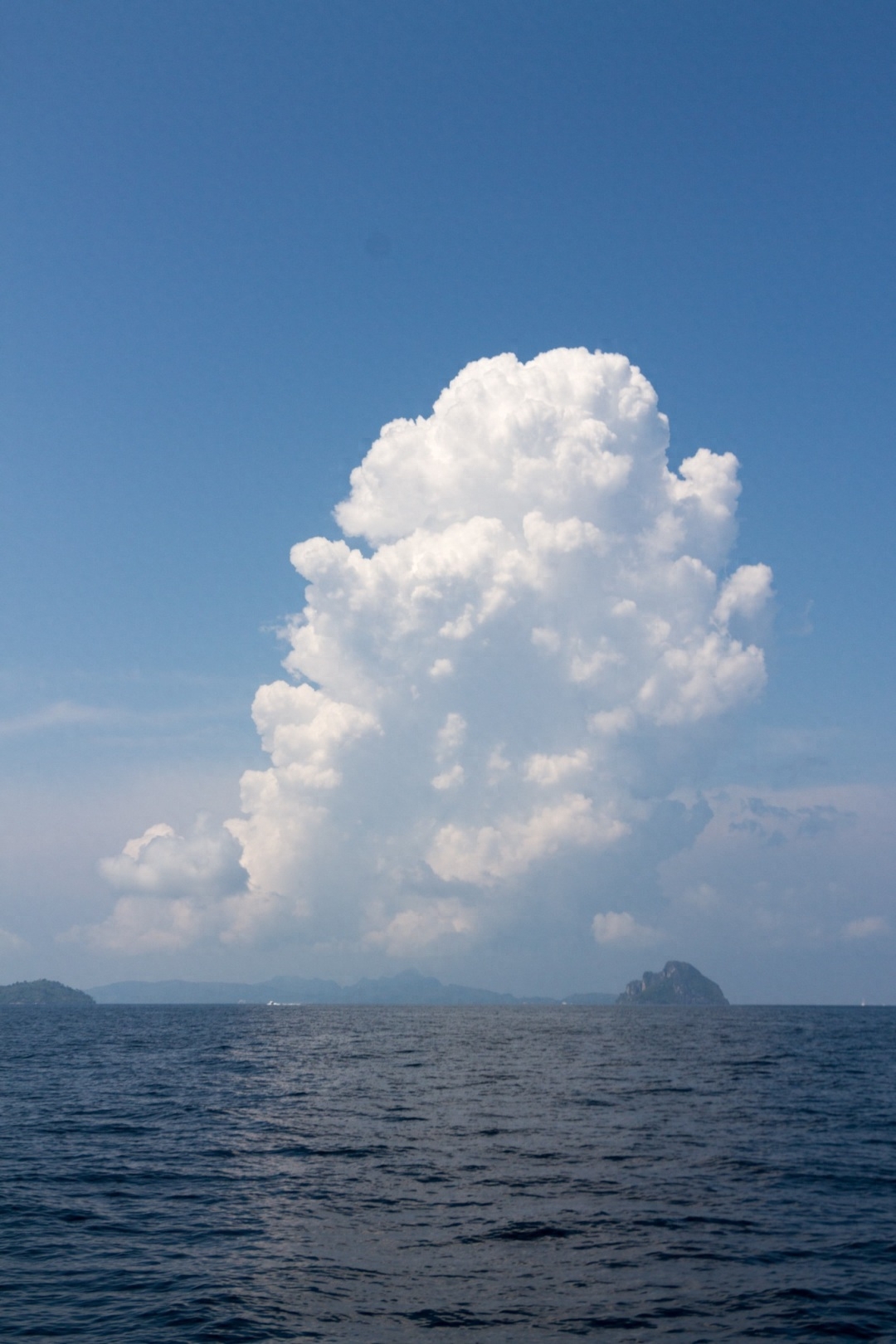 职场赢家_职场官网_我赢职场注册