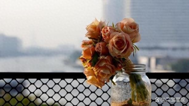 职场叫你小姑娘什么意思_什么叫职场_职场叫姐姐合适吗